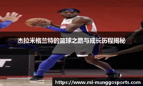 芒果体育官网入口