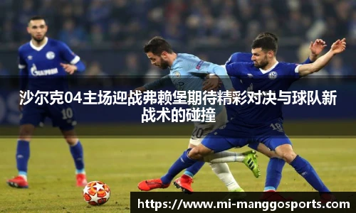 芒果体育官网入口