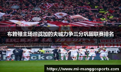 布赖顿主场迎战加的夫城力争三分巩固联赛排名